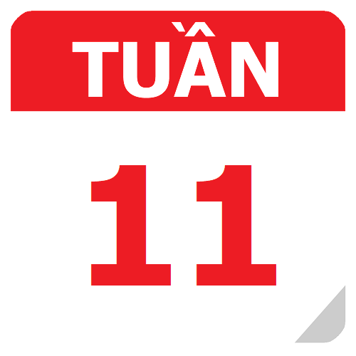 TKB Tuần 11 (từ 07/10 đến 13/10, năm học 2024-2025)