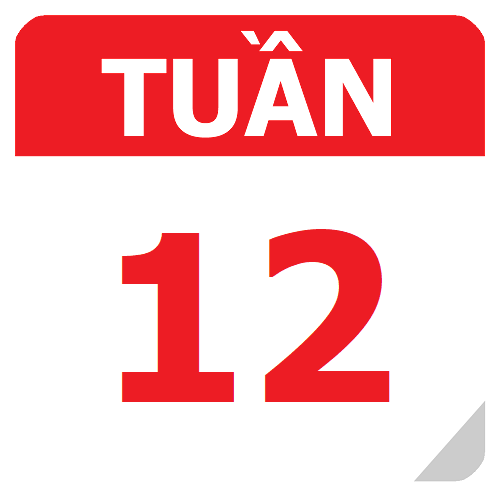 TKB Tuần 12 (từ 04/10 đến 20/10, năm học 2024-2025)