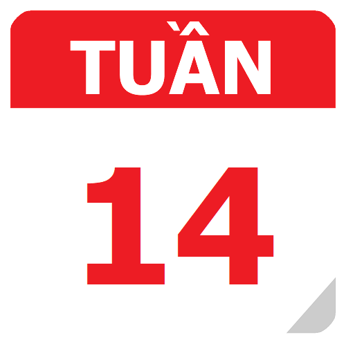 TKB Tuần 14 (từ 28/10 đến 03/11, năm học 2024-2025)