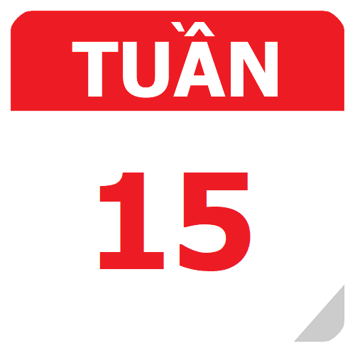 TKB Tuần 15 (từ 04/11 đến 10/11, năm học 2024-2025)