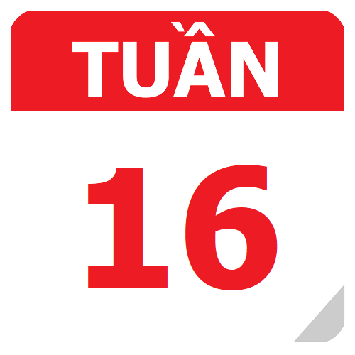 TKB Tuần 16 (từ 11/11 đến 17/11, năm học 2024-2025)