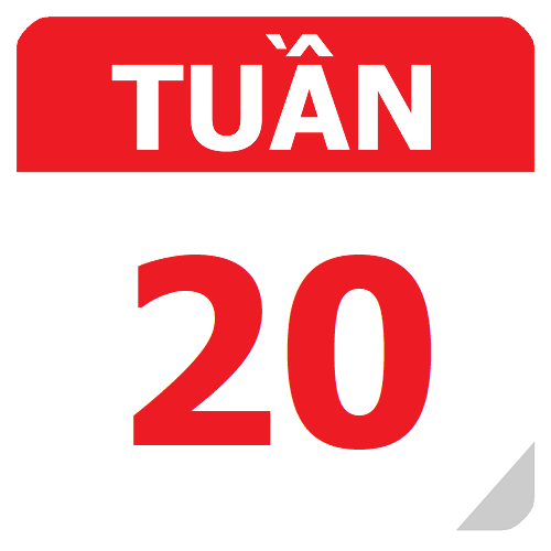 TKB Tuần 20 (từ 09/12 đến 15/12, năm học 2024-2025)