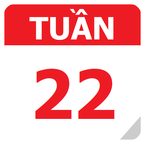 TKB Tuần 22 (từ 23/12 đến 29/12, năm học 2024-2025)