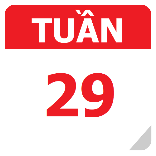 TKB Tuần 29 (từ 10/02 đến 16/02, năm học 2024-2025)