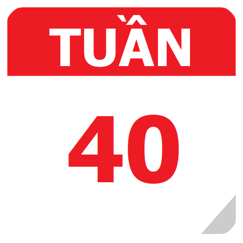 TKB Tuần 40 (từ 28/04 đến 04/05, năm học 2024-2025)