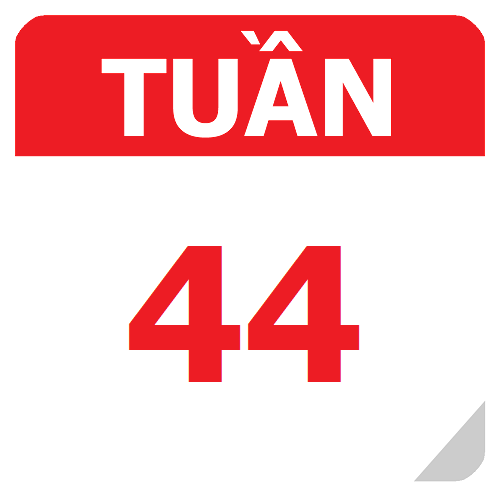 TKB Tuần 44 (từ 26/05 đến 01/06, năm học 2024-2025)