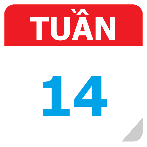 TKB Tuần 14 (từ 03/11 đến 09/11, năm học 2025-2026)