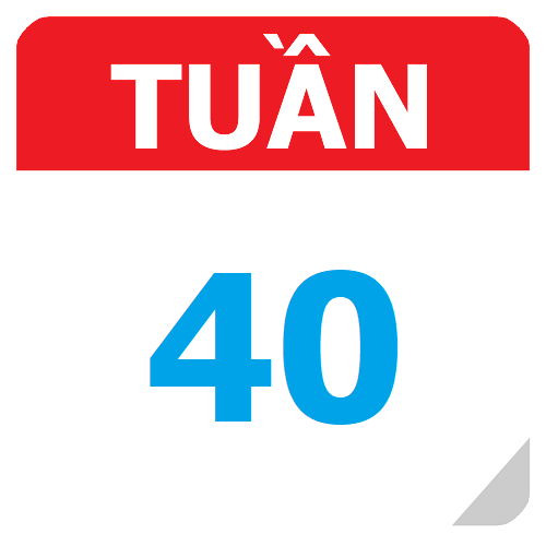 TKB Tuần 40 (từ 04/05 đến 10/05, năm học 2025-2026)